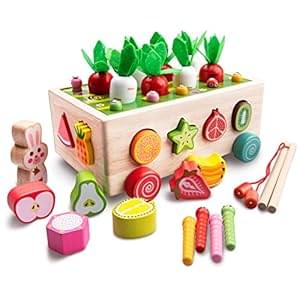 Achiyway Wooden Toys for 3 4 5 Years Old Boys Girls, Toddler Toys Educational Sensory Toys, Kids Motor Skills Fishing Games and Montessori Toys for Baby Birthday Gifts(fruit toys)
